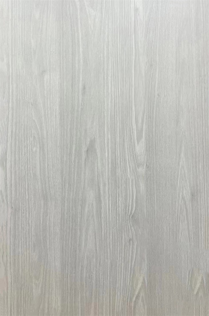 橡影年华灰